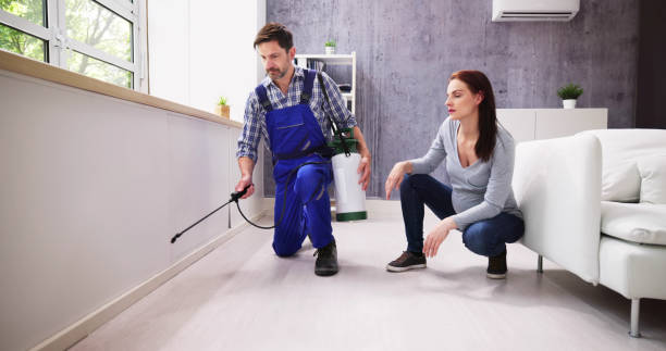 Best Indoor Pest Control  in Groveport, OH